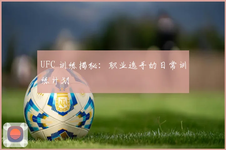 UFC 训练揭秘:职业选手的日常训练计划